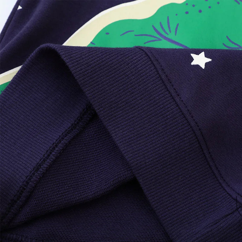 Pull Dinosaure Garçon