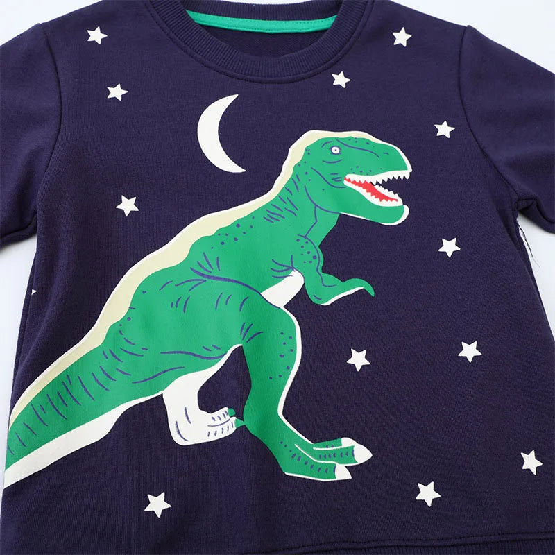 Pull Dinosaure Garçon