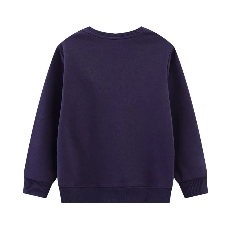 Pull Dinosaure Garçon