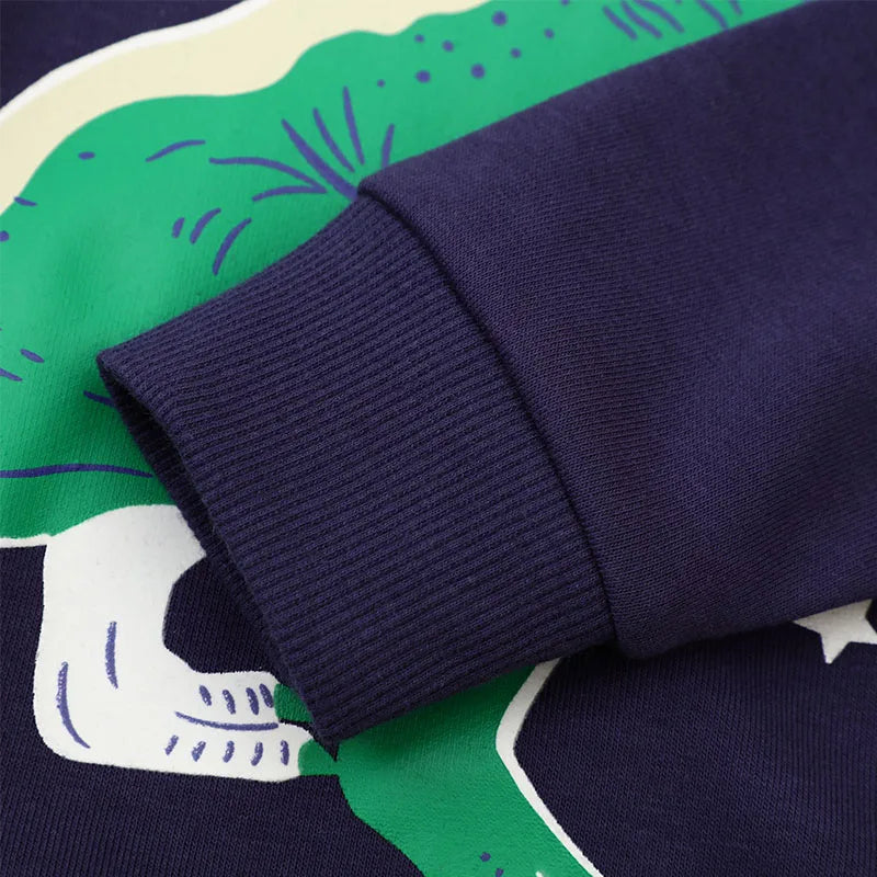 Pull Dinosaure Garçon