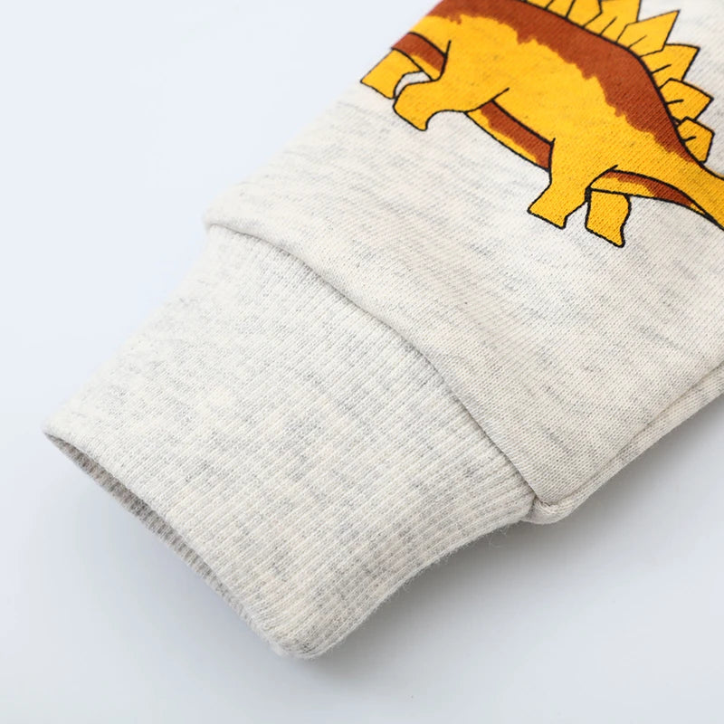 Sweat Dinosaure Garçon