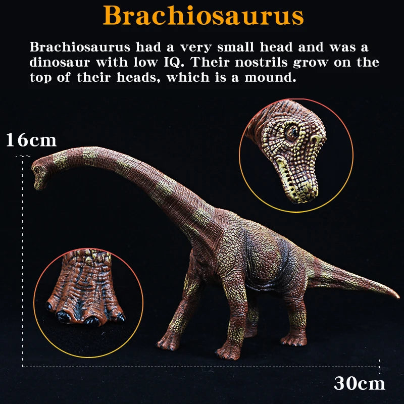 Figurine Dinosaure Réaliste Brachiosaure